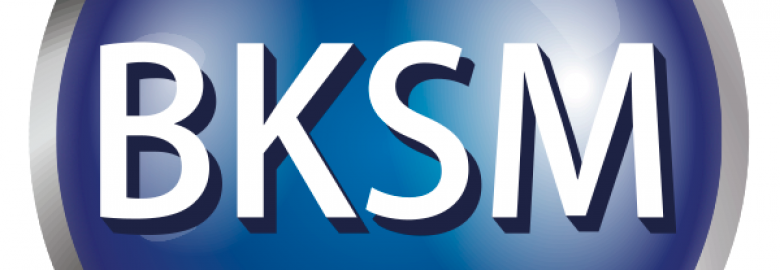 BKSM Corporativo SC