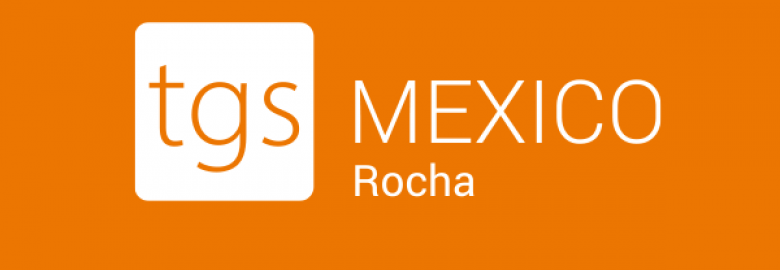 Rocha Salas y Cia