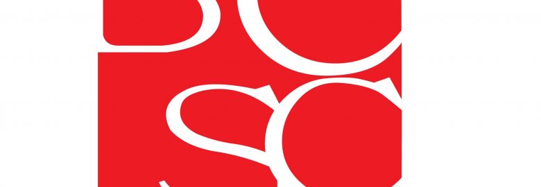 Brelses Consultores SC