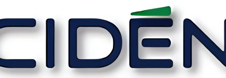 CIDEN- CONSULTORIA INTEGRAL EN DESARROLLO DE NEGOCIOS S. C
