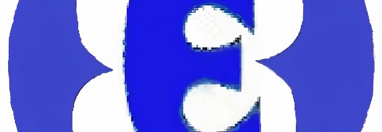 E M Consultores Contadores y Asociados
