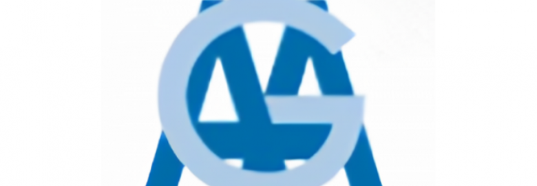 González de Aragón y Asociados, Contadores Públicos S.C.