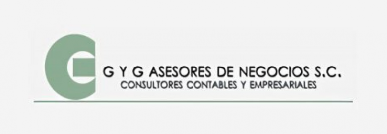 Gyg y Asesores de Negocios