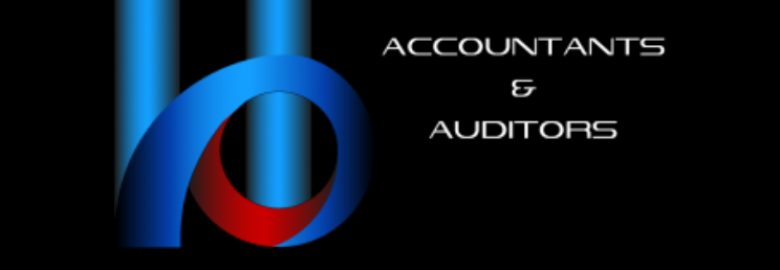 HO ACCOUNTANTS & AUDITORS