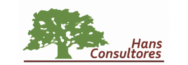 Hans Consultores