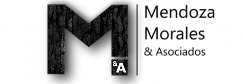 Mendoza Morales y Asociados