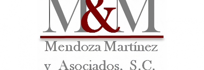 Mendoza Martinez & Asociados S.C.
