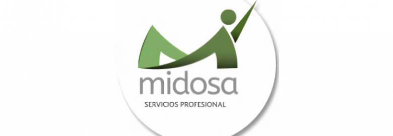 Midosa Servicios Profesionales