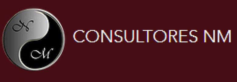 Consultores NM