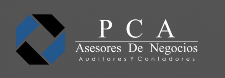 PCA Auditores de Negocios Auditores y Contadores