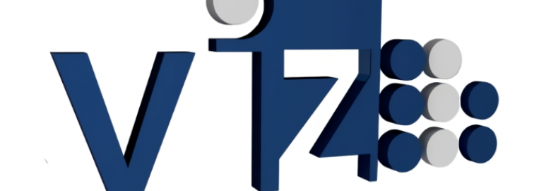 Servicios Profesionales Viz