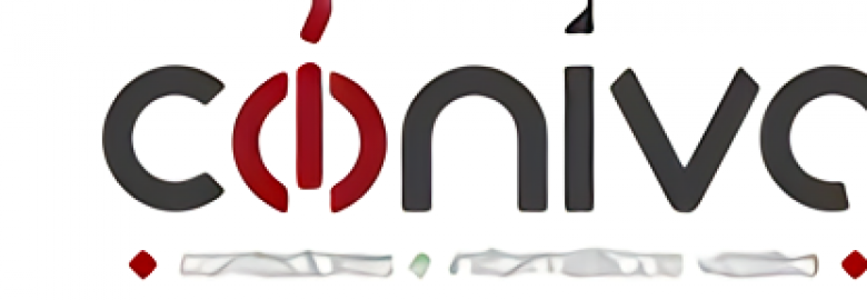 Conica Contadores e Informático