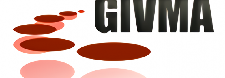Consultores GIVMA