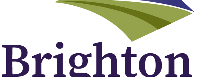 Brighton Consultores