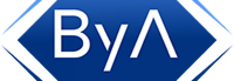 ByA Consultores