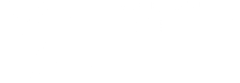 VG Contadores públicos
